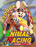 รีวิวระบบ ai บาคาร่า pantip: ความลับของนักเดิมพันมือโปร